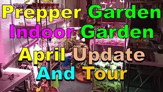 CMF 16 – Gardens April Update And Tour