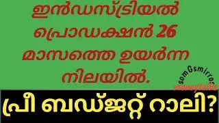 Prebudget rally