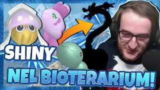 I MIEI PRIMI SHINY DEL DISCO INDACO!  - MULTIPLE SHINY REACTION - Shiny Living Dex [465-468]