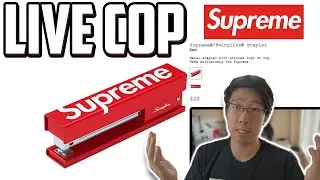 SUPREME STAPLER LIVE COP! (Supreme SS20 Week 16 Online Manual Checkout)