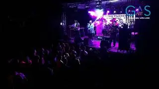 The Putreds & Macanache  - Un cutit