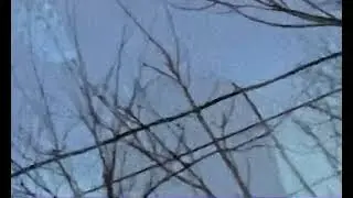 real&fake (pr0dace)