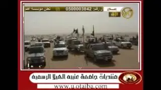 #منقية_نداء_بن_عشوان نخبة النخبه#مزاين_الابل