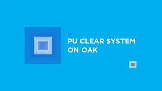 PU CLEAR SYSTEM ON OAK