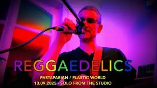 03 pastafarian plasticworld  - 250910 Reggaedelics Solo Live