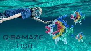 Unschooling with Fin - Q-ba-maze Fish Marble Maze