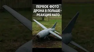 Первое фото дрона в Польше &mdash; реакция НАТО
