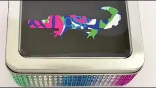 Alligator Jewelry Tin Organizer