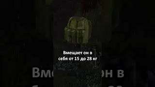 Всё что нужно знать про рюкзаки в Project Zomboid билд 42