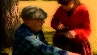 Pecans commercial