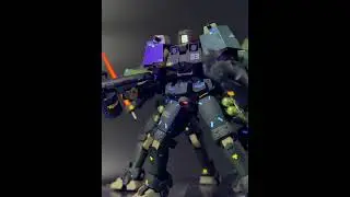 HG Leo Custom