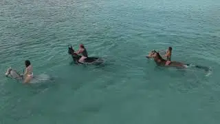 NaturaCavall Beach Ride
