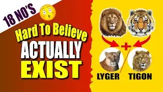18 Unbelievable Hybrid Animals #animals #hybrid #facts