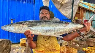 KASIMEDU 🔥 SPEED SELVAM | BIG SIZE KING SEER FISH CUTTING VIDEO | 4K VIDEO | KM FISH CUTTING 