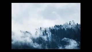 vol 5 ver 1.4- 4K Piano Relaxing Music Video - Sleep Music, Calm Music, Study Music, Forest Music