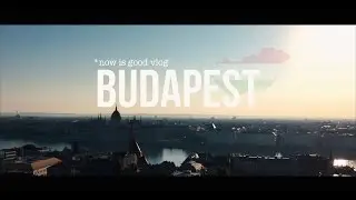 Пора валить в Будапешт. now is good vlog