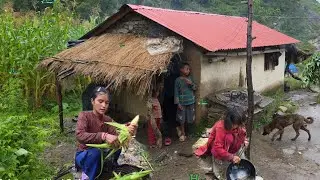 This is Himalayan Village Lifestyle | Organic Food Cooking in Countryside Village Life