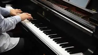 Steinway & Sons Grand Piano Model B 4991986, presented by Concert Pianos