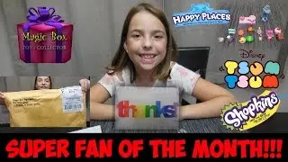 Magic Box Toys Collector - Super Fan of the Month