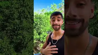 תגיבו מה דעתכם