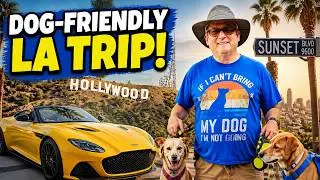 What's fun to do in Los Angeles with your dogs