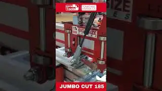 ✨ JUMBO CUT 185 Easy Trans ✨