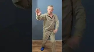 Журавль против Бокса #самозащита #кунгфу #whitecrane #kungfu