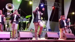 Cicatrices. Banda Legal