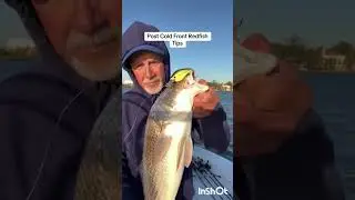 Post Cold Front Fishing Tip#redfish #fishingtips #fishing#crankbait @6thsensefishing