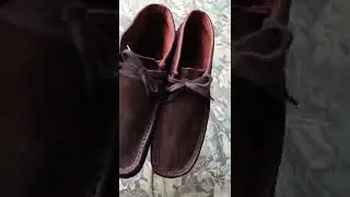 clarks originals