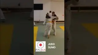 Judo -Sumo #JudoKids#SumoStyleTraining#MartialArtsFun#KidsDoSports#PlayfulTraining#MiniWarriors