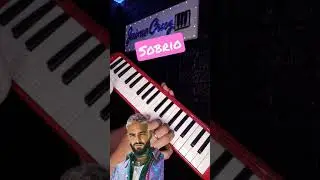 Sobrio de Maluma #shorts #maluma #malumamusic #melodica #tutorial