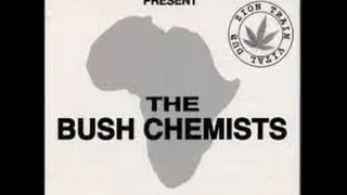 Bush Chemists~~Haste Make Waste