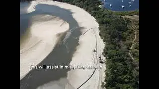 Doggy Beach is back!