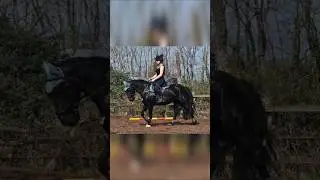 Betsy's Best Bits 🥰 #horse #equestrianjourney #equestrian #pony #horsefan #fyp