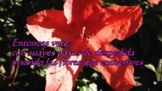 True love - Mantovani