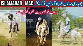 CH ADNAN SHEHZAD ARAIN DIR MAC ISB
