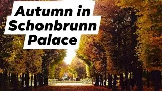 AUTUMN IN SCH&Ouml;NBRUNN PALACE WITH 186 HECTARES wid RELAXING MUSIC
