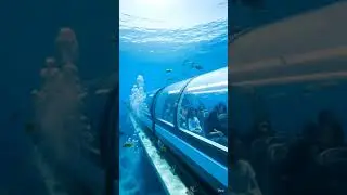World&rsquo;s Most Beautiful Underwater Train Journey | Glass Train Under the Ocean 🌊🚆
