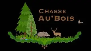 battue grand gibier  cerfs et sangliers (Chasse Au'bois)