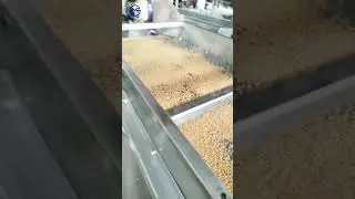 Quick cooking rice processing