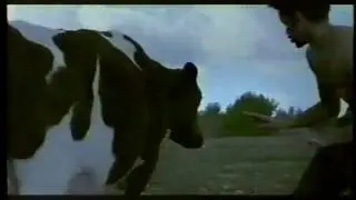 Реклама Raisin Bran Crunch (2001) с Кристиной Паззицки