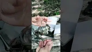 Unbox my new reel bearking assassin #permissions #fishing #useaudio #