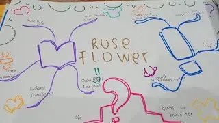 Presentation imagination map about rose flower 