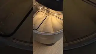 Hypnotic Neapolitan pizza dough in the Ooni halo pro