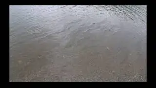 walking trail and exploring near Hanson lake in Presque Isle Maine  Part 1