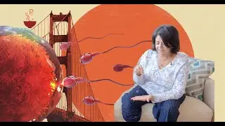 How Mind-Body Work & Hypnotherapy Can Unlock Fertility | Unexplained Infertility Solutions