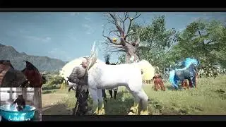 BDO EU Node War - Insight - Succ Zerk - 3rd November 2025
