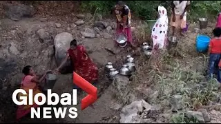 India's extreme heat dries up water sources for people, animals