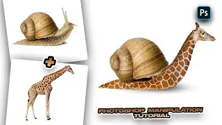Snail Giraffe Photoshop Manipulation Tutorials #photoshopmanipulation #photoshoptutorial #fypシ #fyp